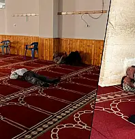 Siirt'te Kavurucu Sıcaklardan Bunalan Vatandaşlar Camilere Sığınıyor