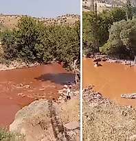 Siirt'te Korkunç Görüntü: Zorava Çayı Çamura Büründü