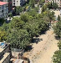 Siirt'te Mevlana Çay Bahçesi Boşaltıldı, Gözler Onlarca Büyük Ağaçta