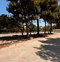 Siirt'te Millet Bahçesi Belirsizliği: Yıkım Yapıldı, Proje Neden Başlamadı?