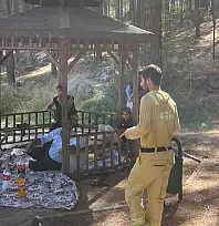 Siirt'te Orman Yangınlarına Karşı Denetimler Artırıldı