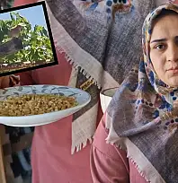 Siirt'te Pencereden Giren Kumru Eve Yuva Yaptı, Ev Sahibi Sahip Çıktı