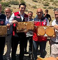 Siirt'te Pervari Balının Geleceği İçin Yeni Adım: Organik Üretim Alanı Açılıyor