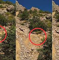 Siirt'te Piknik İçin Gittiler, Karşılarında Yaban Keçisi Sürüsünü Görünce Şaşkına Döndüler