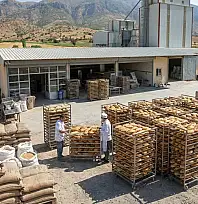 Siirt'te tarıma dayalı sanayi işletme sayısı 179'a ulaştı