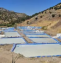 Siirt'te Yılda 550 Ton Üretiliyor! Tuzcular Köyü'nün Ekonomiye Katkısı Büyüyor