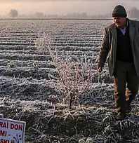 Siirt'te Zirai Don Alarmı: Tarlaya Çıkmak Riskli mi, Ürünler Tehlikede mi?