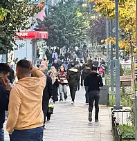 Siirt'ten Göç Edenlerin Sayısı Ve Neden Gittikleri Belli Oldu