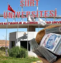 Siirt Üniversitesi İlk 6 Ayda 1,42 Milyar TL Harcadı: Gelir-Gider Farkı 63,2 Milyon TL Oldu