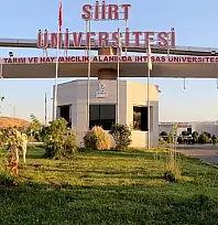 Siirt Üniversitesi'nin Harcama Raporu Açıklandı: Hangi Fakülte Ne Kadar Harcadı Belli Oldu