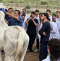 Siirt Üniversitesi Öğrencileri At Çiftliğinde Sahaya İndi