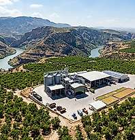 Siirt Urfa'nın Kaderini Yaşayabilir: Siirt Fıstığı Tescil Aldı Ama Ticaretini Alamadı
