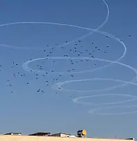 Suriye sınırında gökyüzünde şaşırtan manevra: Uçağın çizdiği daireler merak uyandırdı