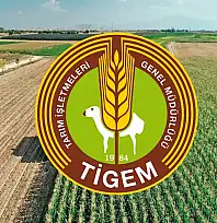 Tarım işletmelerine 254 personel alınacak: Kadrolar, şehirler ve şartlar açıklandı