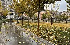 Siirt Millet Bahçesi'nde mevsim geçişi objektife yansıdı