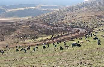 Artı Siirt Gündeme Getirdi! Valilik El Attı! Siirt'in En Büyük Gölü Yeniden Hayat Bulacak