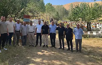 Bal Hasadı Başlıyor: Siirtli Arıcıların Sahadaki Durumu Yerinde Görüldü
