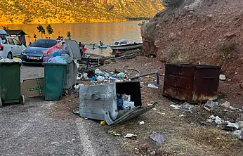 Çöp Konteynerleri Doldu Taştı, Botan Vadisi Nefes Alamıyor