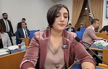 DEM Parti Siirt Milletvekili Sarıtaş, Siirt'in Turizmde Geri Planda Kalmasını Meclis Gündemine Taşıdı