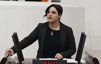 DEM Parti Siirt Milletvekili Sarıtaş TBMM'de Emekçilerin Sorunlarını Gündeme Taşıdı