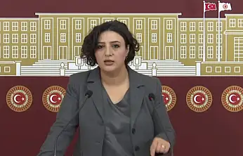 DEM Partili Sarıtaş, Siirt'in Kronikleşen Sorunlarını Meclis Gündemine Taşıdı