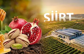 Doğudan Yükselen Bereket: Siirt Tarımda Büyük Atılım Peşinde