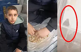 Duyarlı olalım! Siirt'te duyarlı minikler soğuk havada sokak hayvanlarını unutmadı