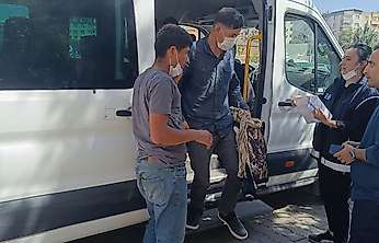 Siirt Eruh'ta 12 Afgan Düzensiz Göçmen Yakalandı