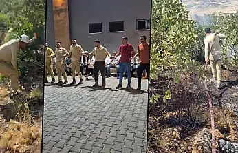Siirt Eruh'ta Yangını Söndürdüler, Ardından Düğünde Halay Çektiler