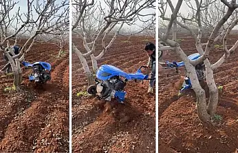 Fıstık üreticilerine Aralık ayında yapılması gerekenler hakkında uyarı yapıldı