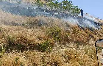 Kurtalan'da Fıstık Bahçesi Yangını: 95 Ağaç Zarar Gördü