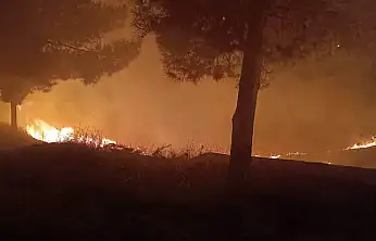 Kurtalan'da Mezarlıkta Çıkan Yangın İtfaiye Ekiplerince Söndürüldü