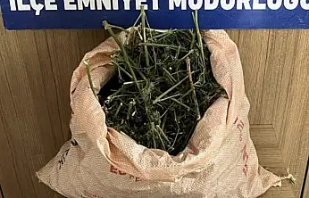 Kurtalan'da polis kovalamacası: Araçta sentetik uyuşturucu ele geçirildi, 3 kişi gözaltına alındı