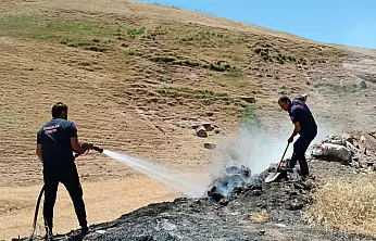 Kurtalan'da Yol Kenarında Çıkan Yangın Ekinlere Ulaşmadan Söndürüldü