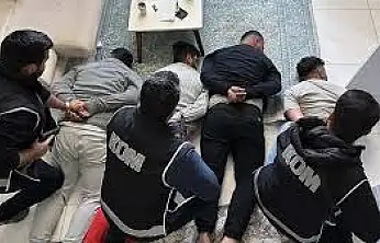 Liderliğini Siirtli ismin yaptığı suç örgütüne operasyon