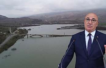 Mahmut Tanal'dan Siirt için Botan Köprüsü çağrısı: '40 köy daha kaç yıl bekleyecek?'
