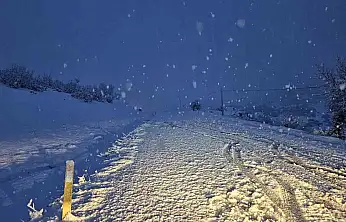 Meteorolojiden Siirt ve Bölge İçin Kuvvetli Kar Yağışı Uyarısı