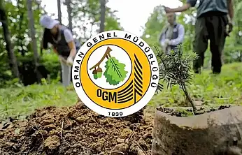 Orman Genel Müdürlüğü 496 Personel Alacak: Siirt'e de 1 Şoför Kadrosu Açıldı