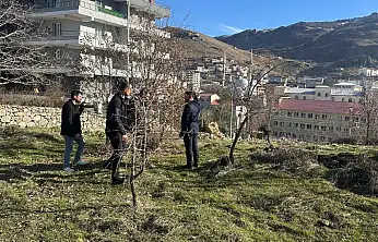 Pervari'ye doğalgaz geliyor: İlk etap tamamlandı