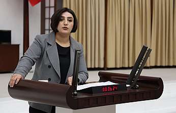 Sabahat Erdoğan Sarıtaş, Siirt'teki İntihar Vakalarını Meclise Taşıdı: 'Önleme Planınız Var Mı?'