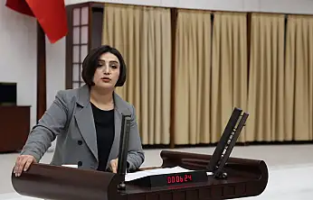 Sabahat Erdoğan Sarıtaş'tan Kadına Yönelik Şiddette Cezasızlığa Bakanlıklara Karşı Soru Önergesi!