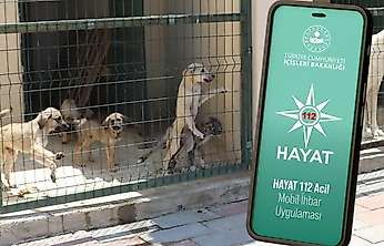 Siirt 112'den Sokak Hayvanları İçin Hayat112 Uygulaması Uyarısı