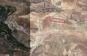 Siirt 16 bin 884 metrekare tarla icradan satışa çıkarıldı