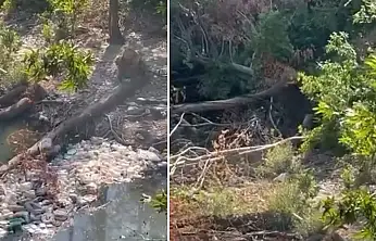 Siirt Baykan'daki Destumi Piknik Alanında Ağaç Kesimi ve Çevre Kirliliği Tepkisi