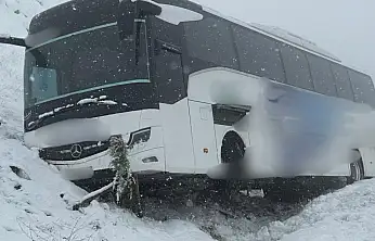 Siirt firmasına ait yolcu otobüsü yoldan çıktı