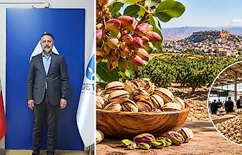 Siirt Fıstığı İçin Önemli Çağrı: Pazar ve Borsa Kurulmalı