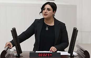 Siirt Fıstığında Fiyat Tepkisi TBMM'ye Taşındı: Siirt Milletvekili Sabahat Erdoğan Sarıtaş'tan Bakanlıklara Çağrı