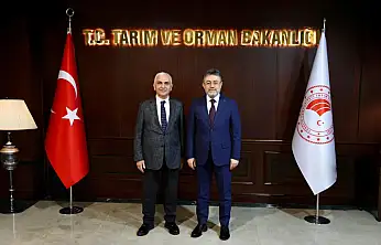 Siirt için kritik dosyalar masada: Milletvekili Mervan Gül projeleri Bakanlığa taşıdı