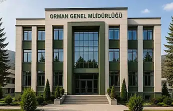Siirt'in Beklediği Yatırım İçin Yarış Başladı! Komşu İller Devrede