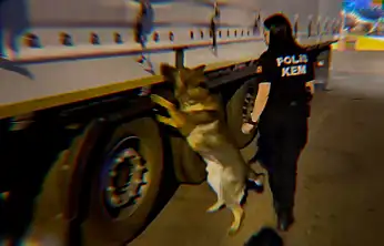 Siirt'in de Aralarında Bulunduğu 73 İlde Uyuşturucu Operasyonu: 935 Tutuklam